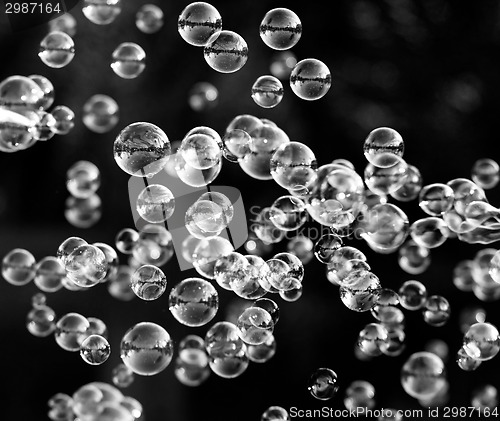 Image of Soap bubbles