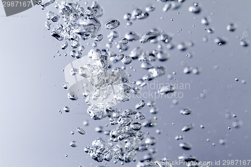 Image of Water bubbles