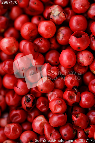 Image of Pink Pepper