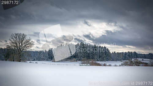 Image of winter scenery