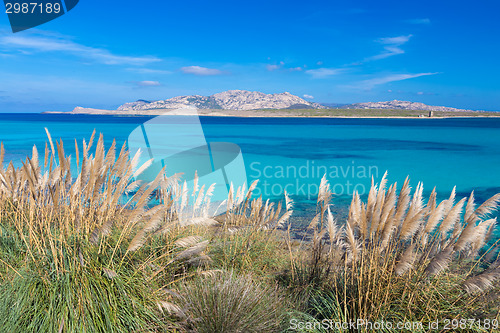 Image of Pelosa beach, Sardinia, Italy.