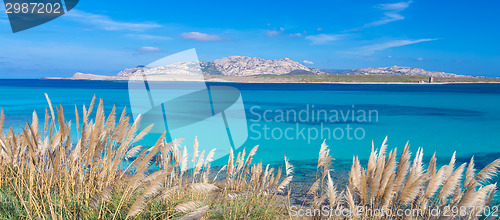 Image of Pelosa beach, Sardinia, Italy.