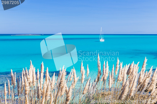 Image of Pelosa beach, Sardinia, Italy.