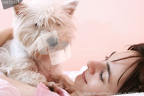 Image of Dog sleeping on bed 