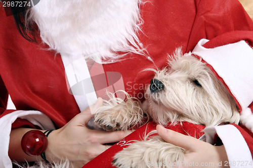 Image of Santa claus