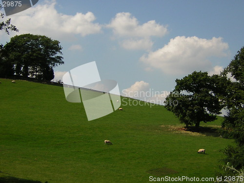 Image of sheep hill