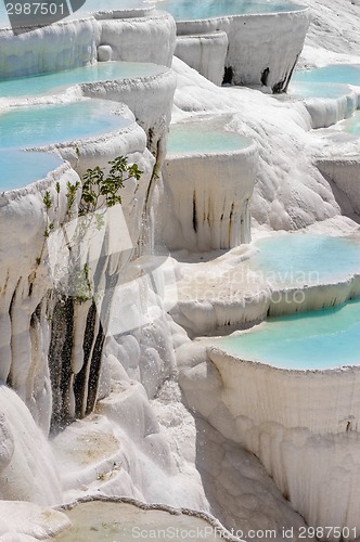 Image of Travertine pools and terraces in Pamukkale, Turkey