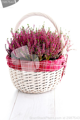 Image of heather