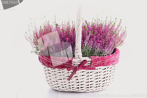 Image of heather