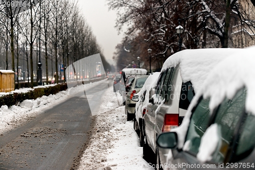 Image of Cars covered in snow after blizzard