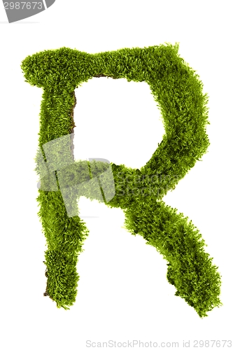 Image of Letter made out of Leaves