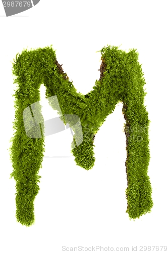 Image of Letter made out of Leaves