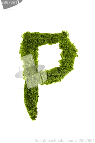 Image of Letter made out of Leaves