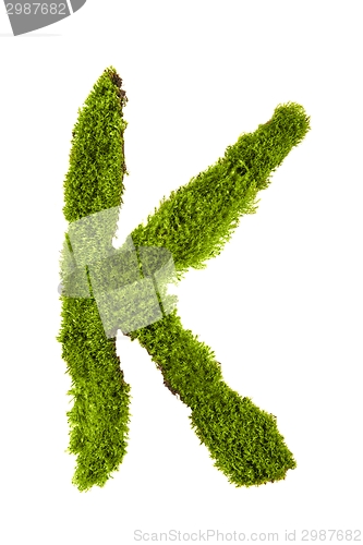 Image of Letter made out of Leaves