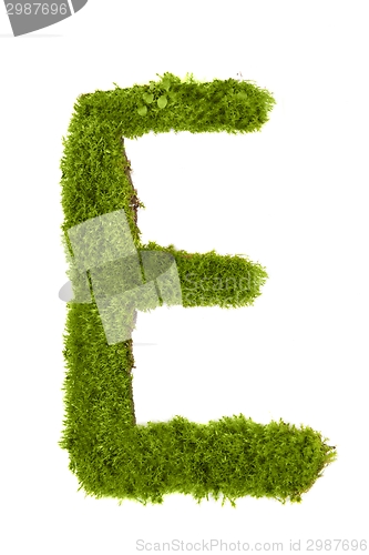 Image of Letter made out of Leaves