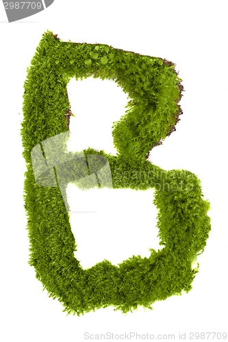 Image of Letter made out of Leaves