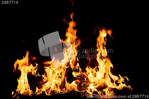 Image of Fire burning in the night