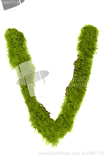 Image of Letter made out of Leaves