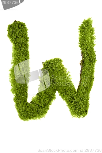 Image of Letter made out of Leaves