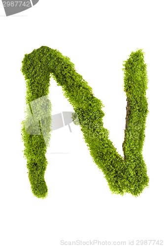 Image of Letter made out of Leaves