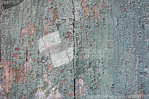 Image of Green Wooden  texture