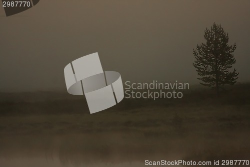 Image of mist over the meadows