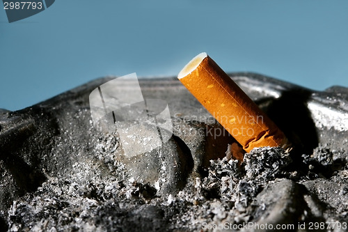 Image of Cigarette butt in ashtray