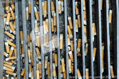 Image of Cigarette butts