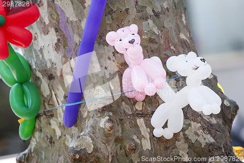 Image of Balloons attached to tree trunk