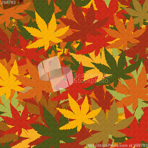 Image of Autumn Leaves