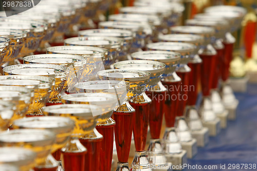 Image of Champion trophies lined up