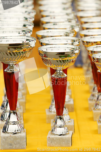 Image of Silver champion trophies