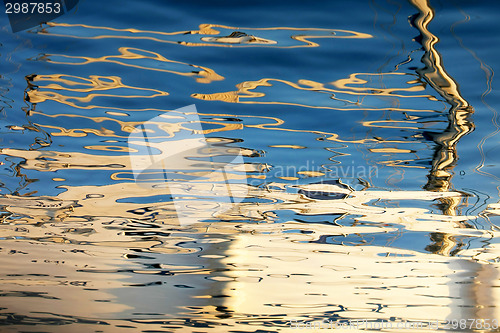 Image of Water reflection of tree branches