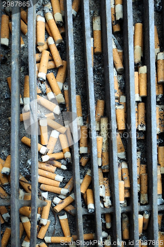 Image of Close up of cigarette butts