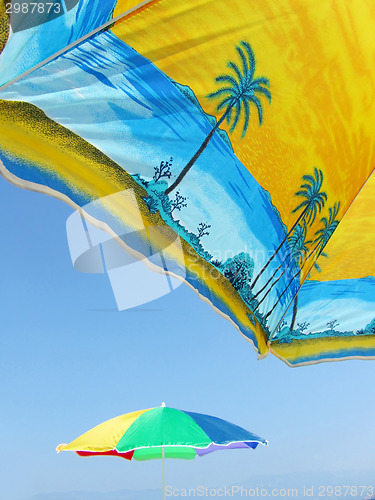 Image of Parasols on beach