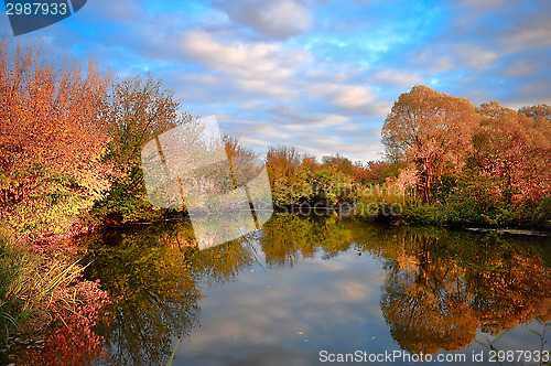 Image of Landscape with colorful autumn trees reflected in the river