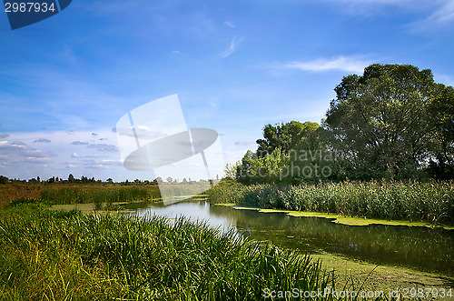 Image of Summer landscape with a river