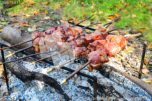 Image of Barbecue cooking meat on a fire