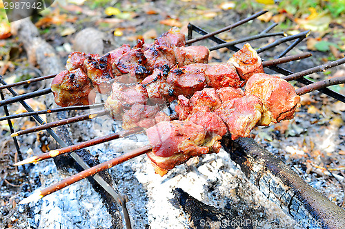 Image of Barbecue cooking meat on a fire