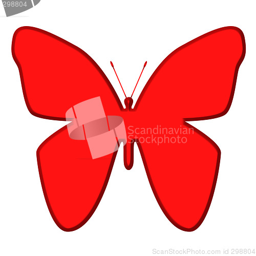 Image of Butterfly