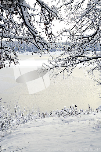 Image of Winter landscape: the view through the frame of the snowy branch