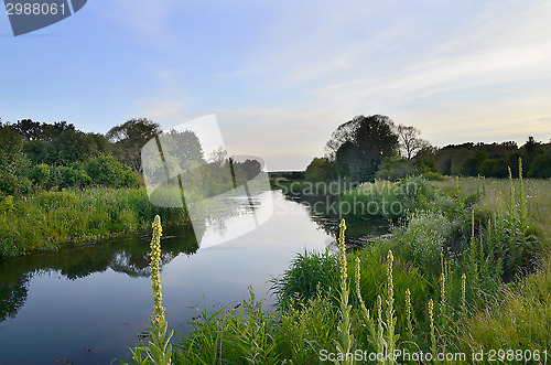 Image of Summer landscape with a river, trees, flowering plants in Sunny 