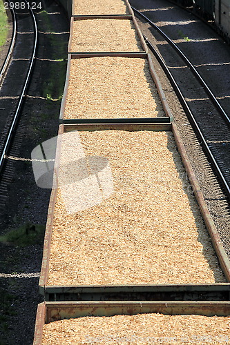 Image of woodchips transportation