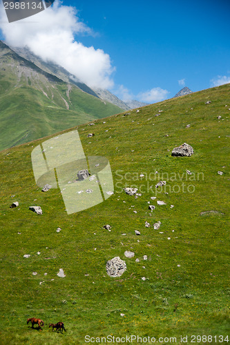 Image of Hiking in Georgia Mountain