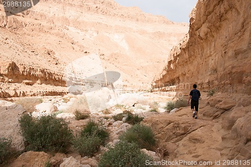 Image of Hiking in stone desert middle east adventure