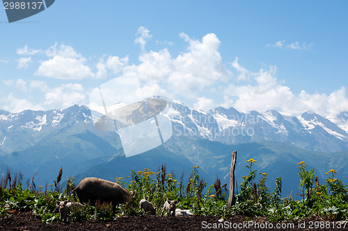 Image of Hiking in mountain