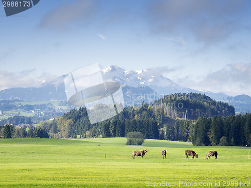 Image of Mountains in Bavaria