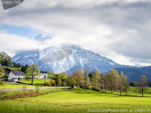 Image of Mountain Sauling