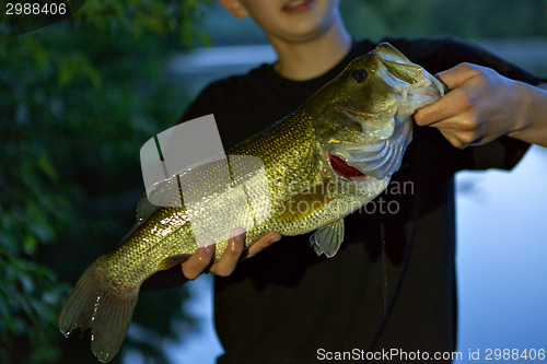 Image of Bass Fishing Catch