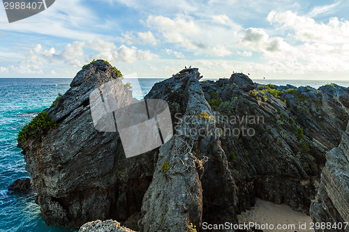 Image of Bermuda Rock Formations